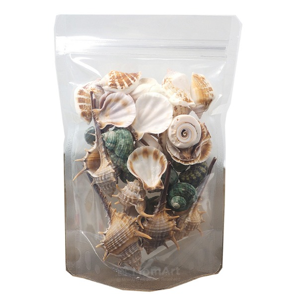 맘아트 조개모음 대 210g 자연물 조개껍데기 조개껍질 공예 DIY 여름만들기 장식