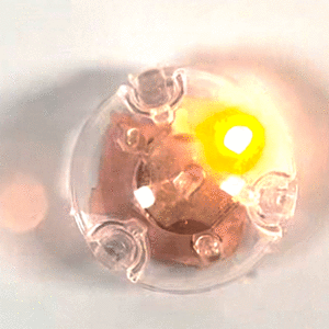맘아트 푸쉬버튼 LED 램프 발광칩 D커버형